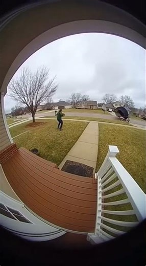Trampoline Takes Flight in the Storm