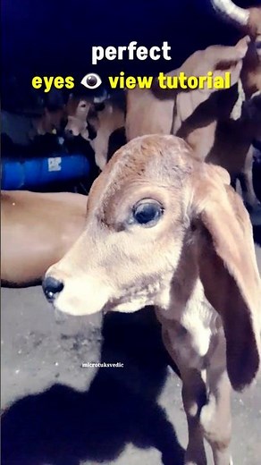 perfect eyes 👁️ view tutorial ✨🔁 #loop #tutorials #shorts