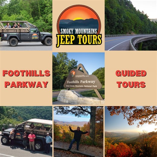 🌲 Discover the Enchanting Waterfalls of the Smokies! 💦 The Great Smoky Mountains National Park is home to some of the most breathtaking waterfalls you'll ever see. Whether you're an avid hiker or just looking for a peaceful retreat, these waterfalls offer the perfect escape into nature. Waterfall Highlights: • Grotto Falls: Experience the magic of walking behind this refreshing cascade. 🌊 • Abrams Falls: A powerful and mesmerizing sight, perfect for a rewarding hike. 🥾 • Laurel Falls: Beauti