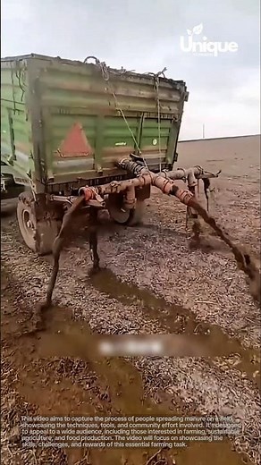 Spreading manure on a field: people spreading manure on a field