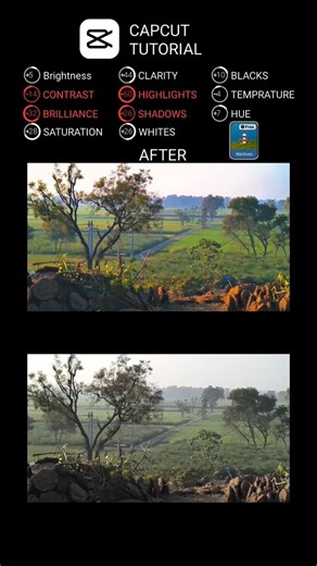 Cinematic Nature Colour Grading 💖 😍 #colurgrading #colorgrading #tutorial #reels #capcuttutorial