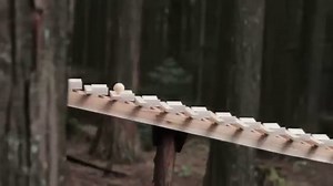 Got wood? The best of wooden tech