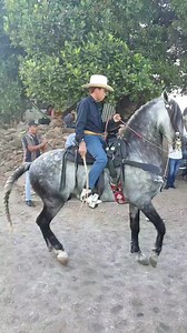 El compa Fernando calando al chasco puro Huaristemba 👍🏽👌🙏🏻 | Ay nomas palas coconas Huaristemba