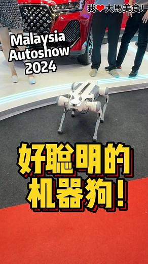 今年Malaysia Autoshow 2024最大的亮点不是电动车，而是这只 #机器狗😆！ 【Malaysia Autoshow 2024】 🚗 MAEPS, Serdang. 📅 2024年5月22日（三）至5月26日（日） ⏰ 10am-10pm | 我爱大马美食 I Love Malaysian Food