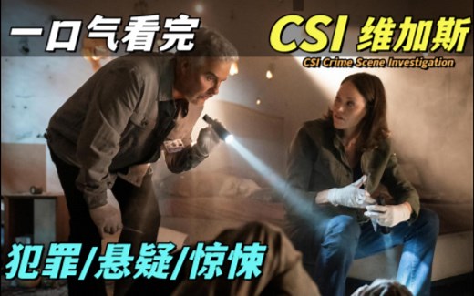 高分美剧《CSI：维加斯》，每一集都让人直呼过瘾！