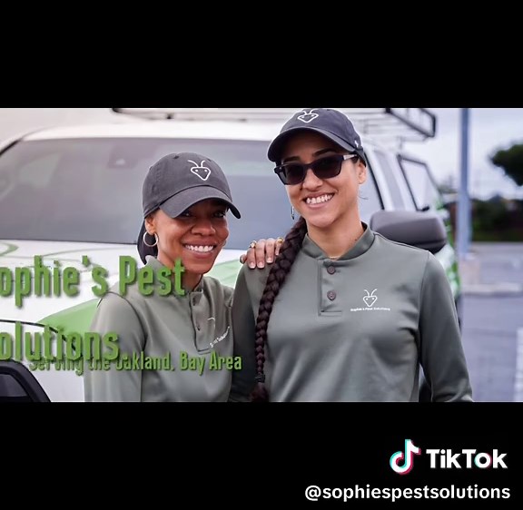 🚨 Wasp Nest vs. Pest Pro 🚨 From buzzing danger to 💨 problem solved—all in a day’s work at Sophie’s Pest Solutions! 🐝✌🏾Big shoutout to @BlkGirlsGreenhouse 🌿 for letting us handle this wasp situation so their customers can enjoy the space safely. Sometimes it only takes a few seconds to see the difference a pro makes 😉 #Pests0Sophie1 #SophiesPestSolutions #Oakland #BayArea #California @Christine Elias 🇵🇷 I rose to the challenge 🌹