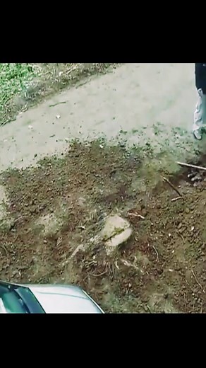 it was a great discovery #tiktokusa #usa #science #technology #LearnOnTikTok #foyou