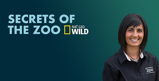 Tune in tomorrow evening, October 10 at 9/8c, for the Season 4 premiere episode of Secrets of the Zoo on Nat Geo Wild! Go behind the scenes at the Columbus Zoo and Aquarium and The Wilds and see the excellent care our staff provides to the animals! Will you be watching? Season 4 of Secrets of the Zoo is available through TV providers on Video-on-Demand, the NGTV app & NatGeoTV.com website and connected devices like Roku. It's also available for purchase on Amazon Prime Video, Apple/iTunes, Googl