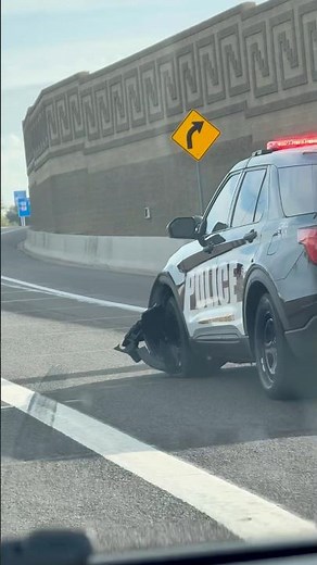 The Most Embarrassing Cop Car Crashes