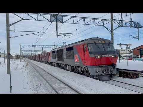 【北海道の貨物列車】DF200 111[五] ｢RED BEAR (レッドベア)｣ +コキ11B