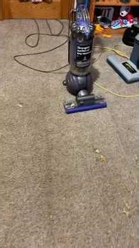 Why proteam vacuums are better than shark, and Dyson