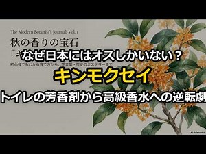 【金木犀の真実】なぜ日本にはオスしかいない？トイレの芳香剤から高級香水への逆転劇と、絶対失敗しない育て方の鉄則