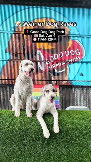 Birmingham Weekend Events