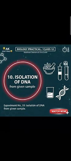 Class 12 Biology Practical 9: How to Isolate DNA from Plant Material.