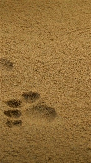 I Love My Boxers on Reels