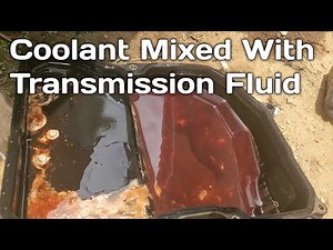 How To Fix Coolant Mixed With Transmission Fluid | Coolant inside Transmission Fluid