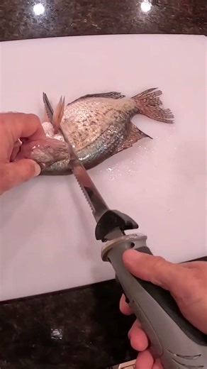 How To Fillet Crappie