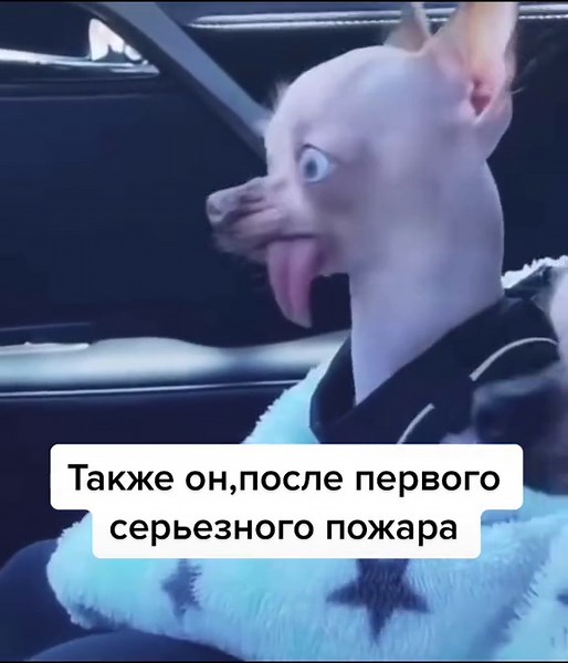 Firefighter161 on TikTok