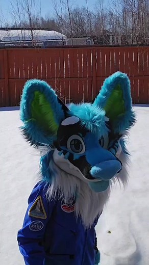 Fursuit Celebration for Earth Day with ASL