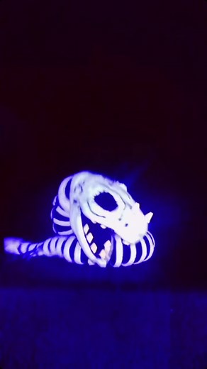 Funny Puppet Show with Snake Puppet and Skull Puppet