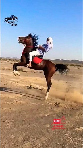Crazy Stallion, Perfect Control 😱🐎 #horsepower #arabianstallion
