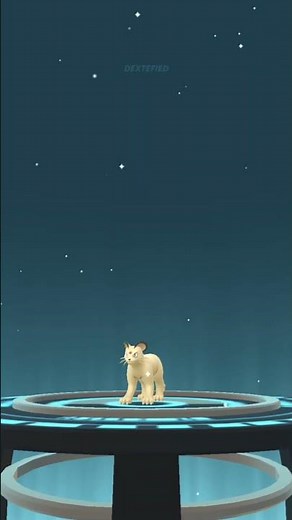 Meowth evolution in Pokemon GO #Pokemon #Shorts