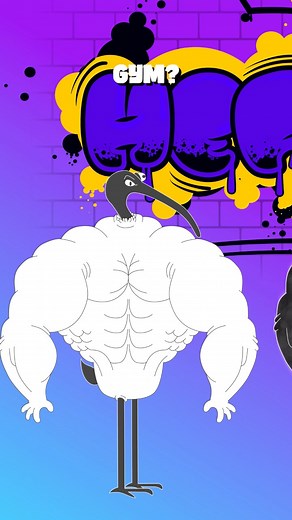 Animated Short - Workout Motivation 101: Remember why you started #cartoonedits #animatorsoninstagram #gymgraffiti #gymetiquette #fitnessvideos #comedyskit #workoutmotivation | Bench Chicken