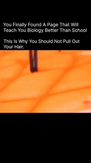 BIOLOGY | MEDICAL | HEALTH on Instagram: "Follow @explaining.biology_ to learn more about how your body works! Pulling out your hair might seem like a small habit… but the damage can be much deeper than you think. When a hair is forcefully removed, the follicle can become injured, increasing the risk of permanent hair loss, scarring, and even infections if the skin breaks. This behavior is often linked to stress or anxiety, silently affecting emotional well-being and self-esteem. Taking care of 