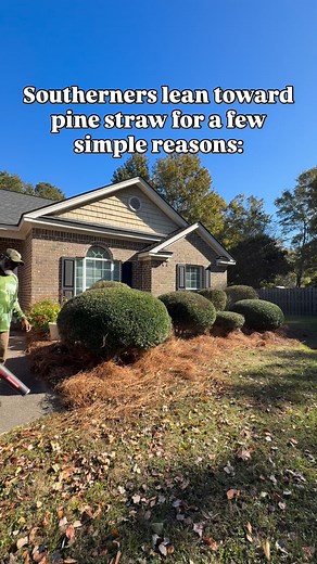 Southerners lean toward pine straw for a few simple reasons: It’s everywhere. Pines drop needles nonstop, so it’s cheap and easy to get in the South. It looks clean. That fresh, uniform reddish-brown color fits the landscaping style down here. Hardwood mulch can fade fast. It stays put. Pine straw knits together. Wind and rain don’t blow it around as easily as hardwood. It’s lighter to handle. You can cover big beds fast without hauling heavy bags. Plants like it. Acid-loving shrubs (azaleas, ca