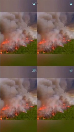 How To Fight Fire With Fire