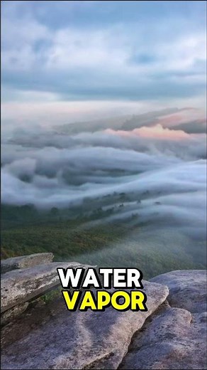 Relative Humidity vs Absolute Humidity#aviation #aircraft #airframeandpowerplant #physics