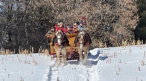 Gerald Schmidt gave family andfriends a sleigh ride at Jim Pannier's place in Rice Lake Wisconsin today where they also enjoyed some sledding. we'll have a full episode on Rural Heritage on RFD-TV April 25 & 29. | Rural Heritage Magazine