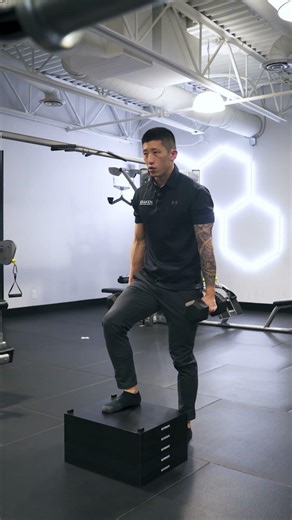 Dumbbell Step Up