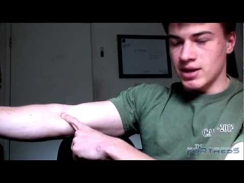 How to Workout Every Muscle Group