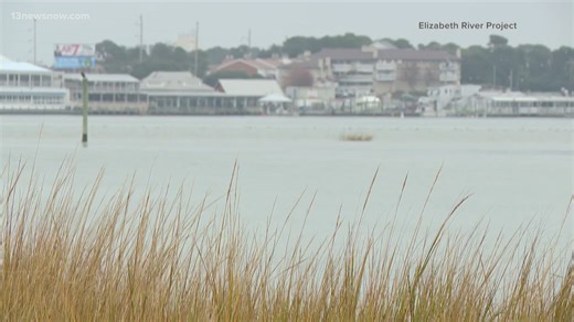 Once 'essentially deemed dead', Elizabeth River's recovery continues as Norfolk-based nonprofit expands restoration work