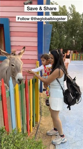 Dubai Safari Park #dubaisafari #animallovers #ytviral #dubaisafaripark #dubailife #dubaivlog