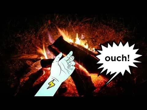 Cell Communication: Hormones and Neurotransmitters