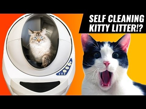 Automatic Robot Self-Cleaning Litter Box for Cats at CES 2017 | Mindstream Studio