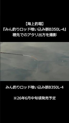 【海上釣堀】『みん釣りロッド喰い込み脈B350L-4』の穂先でのアタリ出方を撮影in水宝