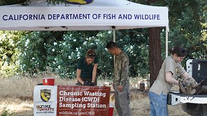 9.7K views · 91 reactions | There are three ways you can have your...