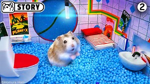 28K views · 329 reactions | Hamster course in the Alien maze for Pets...