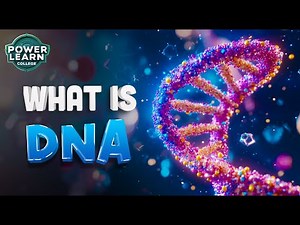 What Is DNA? | Structure of DNA & Its Components Explained | Learn in 5 Mins | Power Learn College
