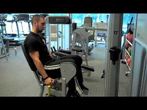 Cybex Hip Abduction (outer thigh)