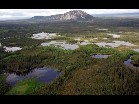Arctic Soils Are Losing Nitrogen
