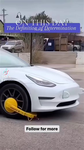 #duet with @Stat1982 The Definition of Determination