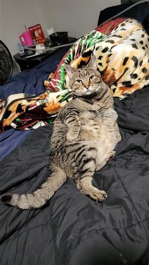 I love the mid-cleaning positioning.