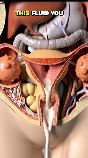 What is THIS Fluid? 💧 (Every Woman Should Know #medicalanimation #facts #science #shorts #3d