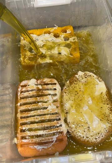 Satisfying Sponge Squeezing with Pine Scents