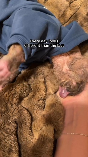 261K views · 14K reactions | Day 14 with Freddy. Two weeks of love....