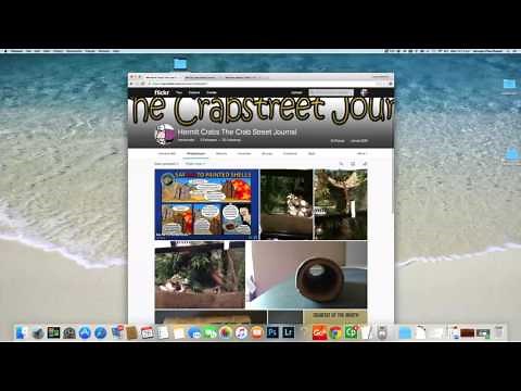 Flickr.com How to upload photos and add them to groups